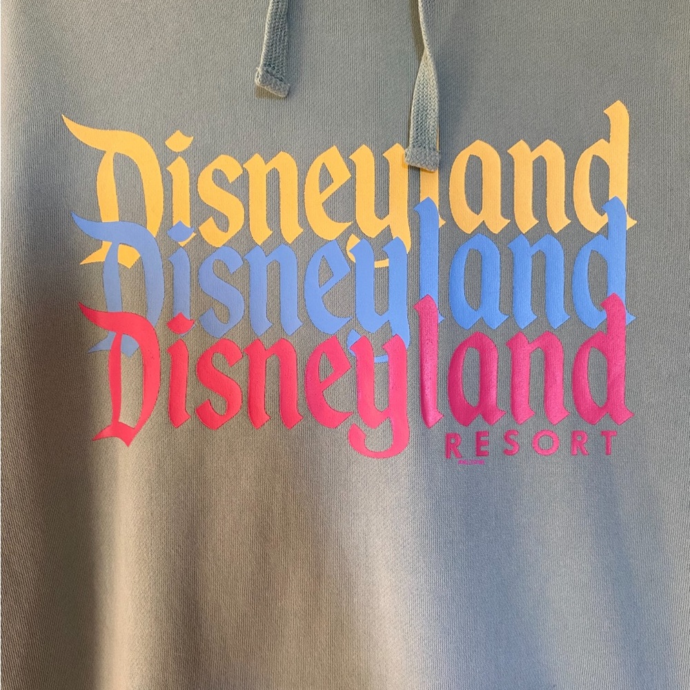 EUC Authentic Official Disneyland Logo Pullover Hoodie for Adults
